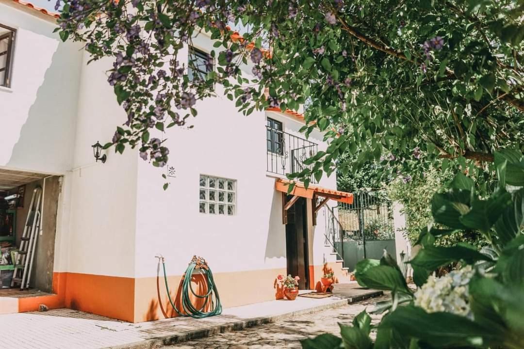 Casa Da Milharica Villa Фигейро дос Виньос Екстериор снимка